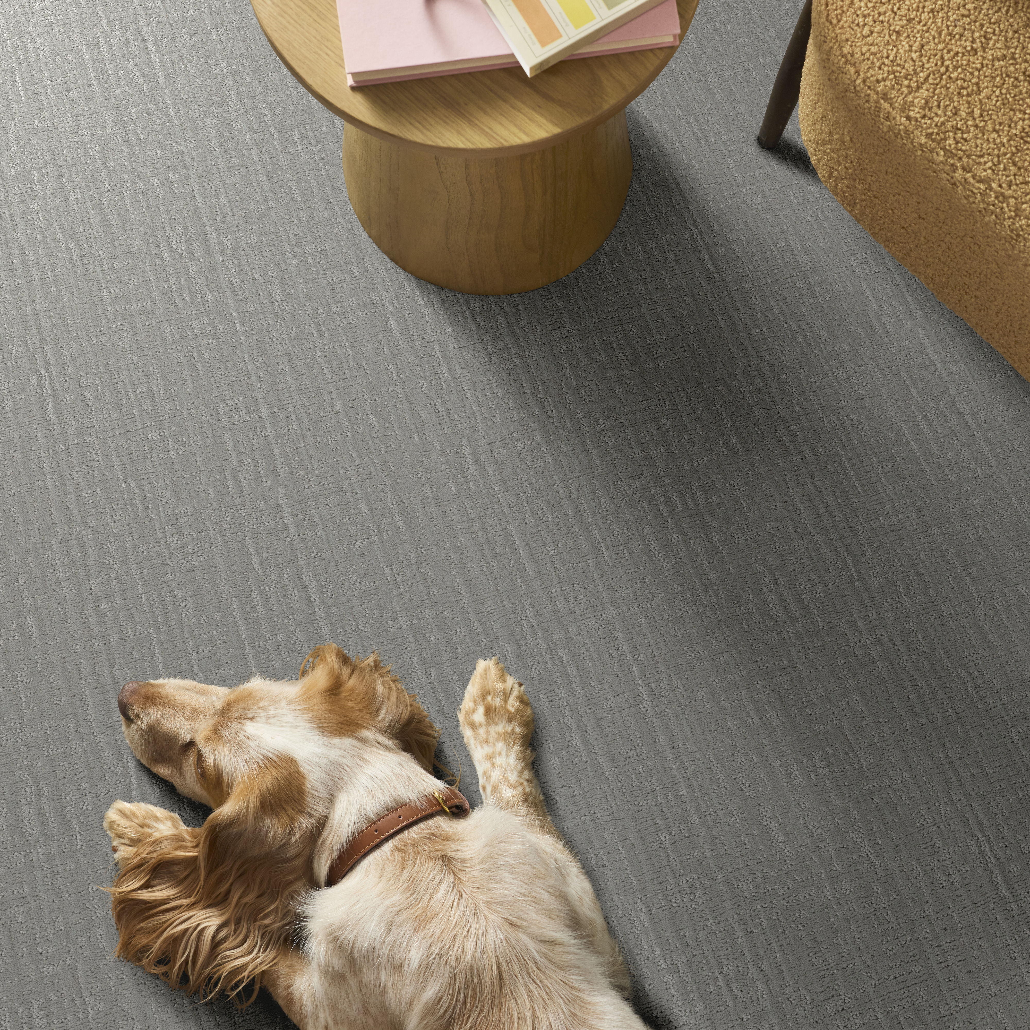 Shady Stroll - Greige Mist Carpet | Shaw Floors